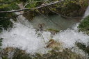gal/cro 08/_thb_small-IMG_5686.JPG